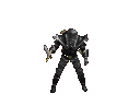 cavaliere 2.gif